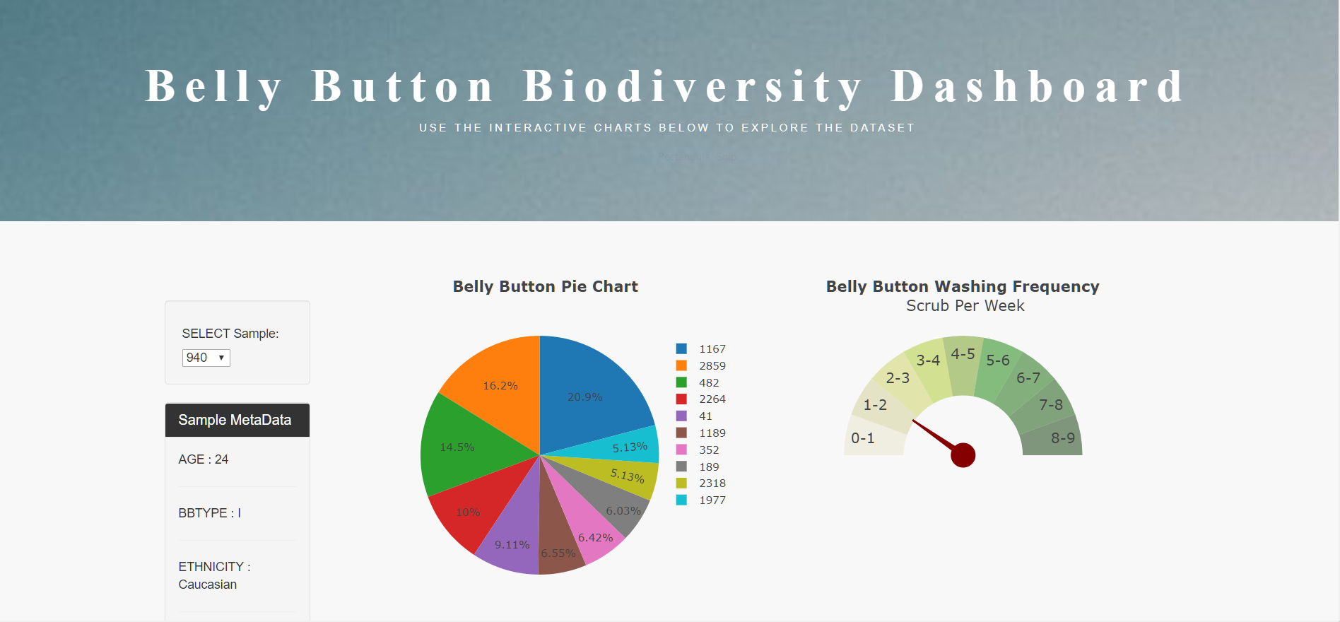 Bacteria Biodiversity